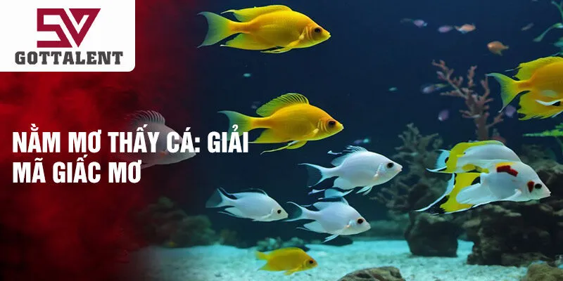 Nằm mơ thấy cá: giải mã giấc mơ