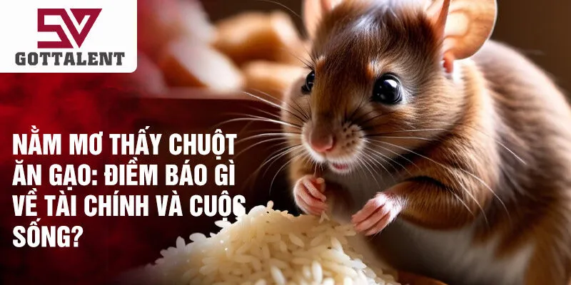 Nằm mơ thấy chuột ăn gạo: điềm báo gì về tài chính và cuộc sống?