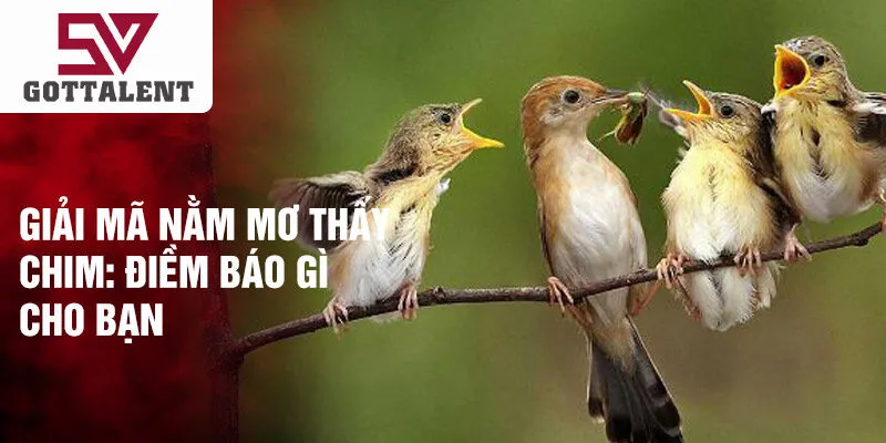 Giải mã nằm mơ thấy chim: điềm báo gì cho bạn