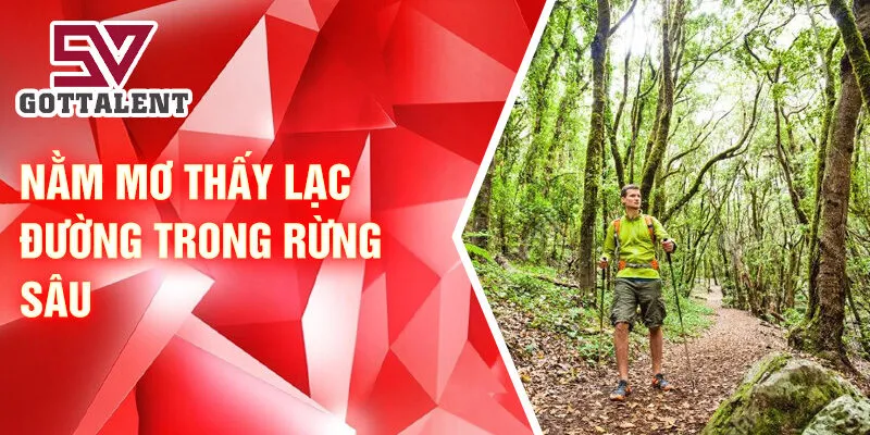 Nằm mơ thấy lạc đường trong rừng sâu