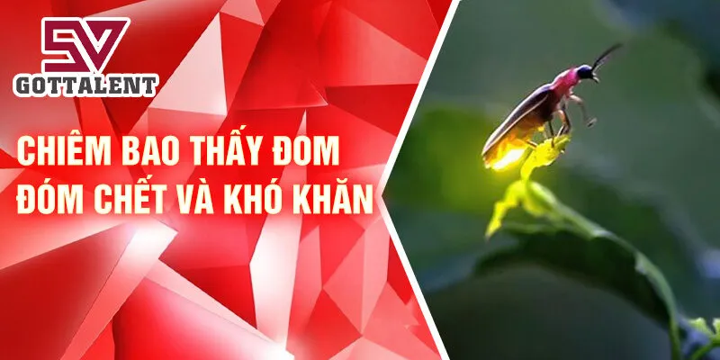 Nằm Mơ Thấy Đom Đóm: Bí Ẩn Và May Mắn Chờ Đón 3 Chiêm bao thấy đom đóm chết và khó khăn