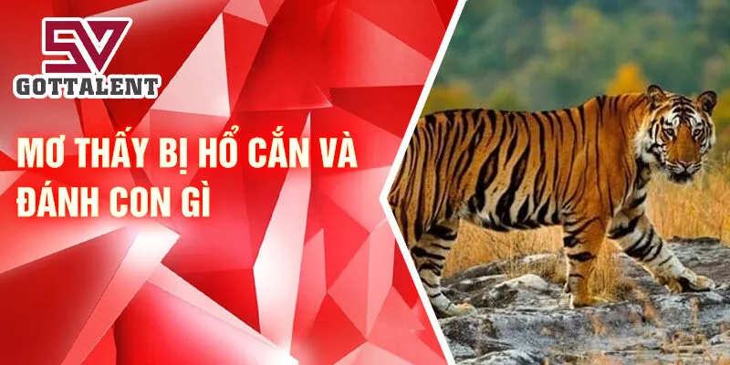 Mơ thấy bị hổ cắn và đánh con gì