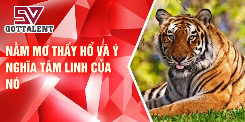 Nằm mơ thấy hổ và ý nghĩa tâm linh của nó