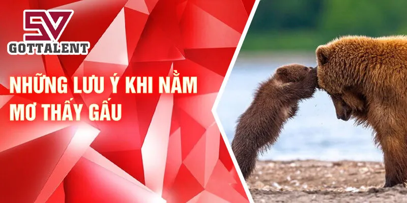 Nằm Mơ Thấy Gấu: Giải Mã Điềm Lành Và Con Số May Mắn 4 Những lưu ý khi nằm mơ thấy gấu